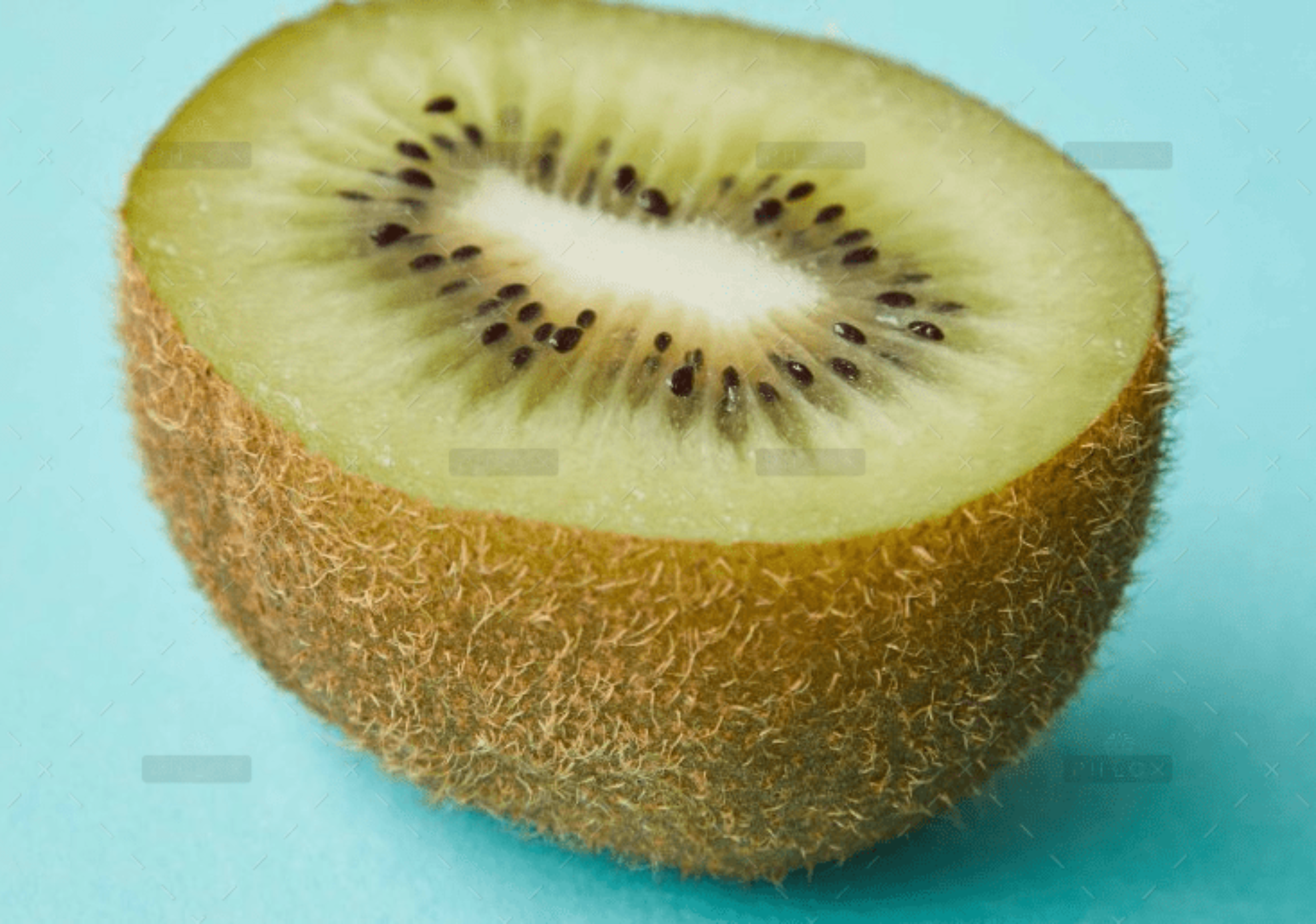 demo-attachment-803-Image-Cover-Tall-4