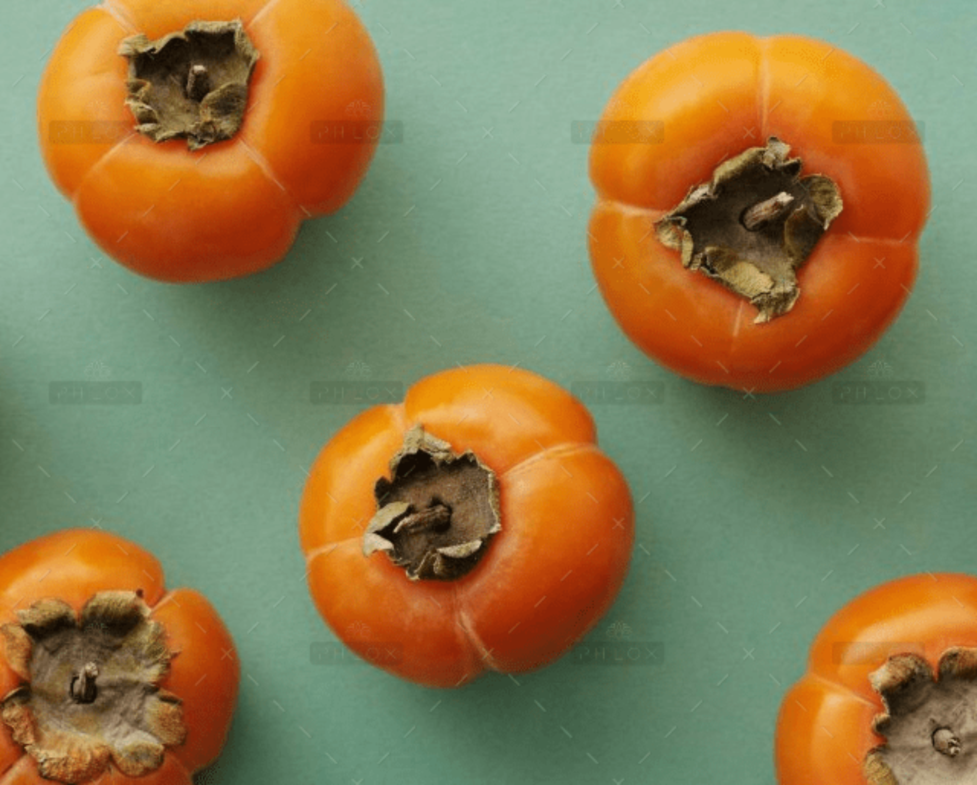 demo-attachment-1727-Rectangle-1-3