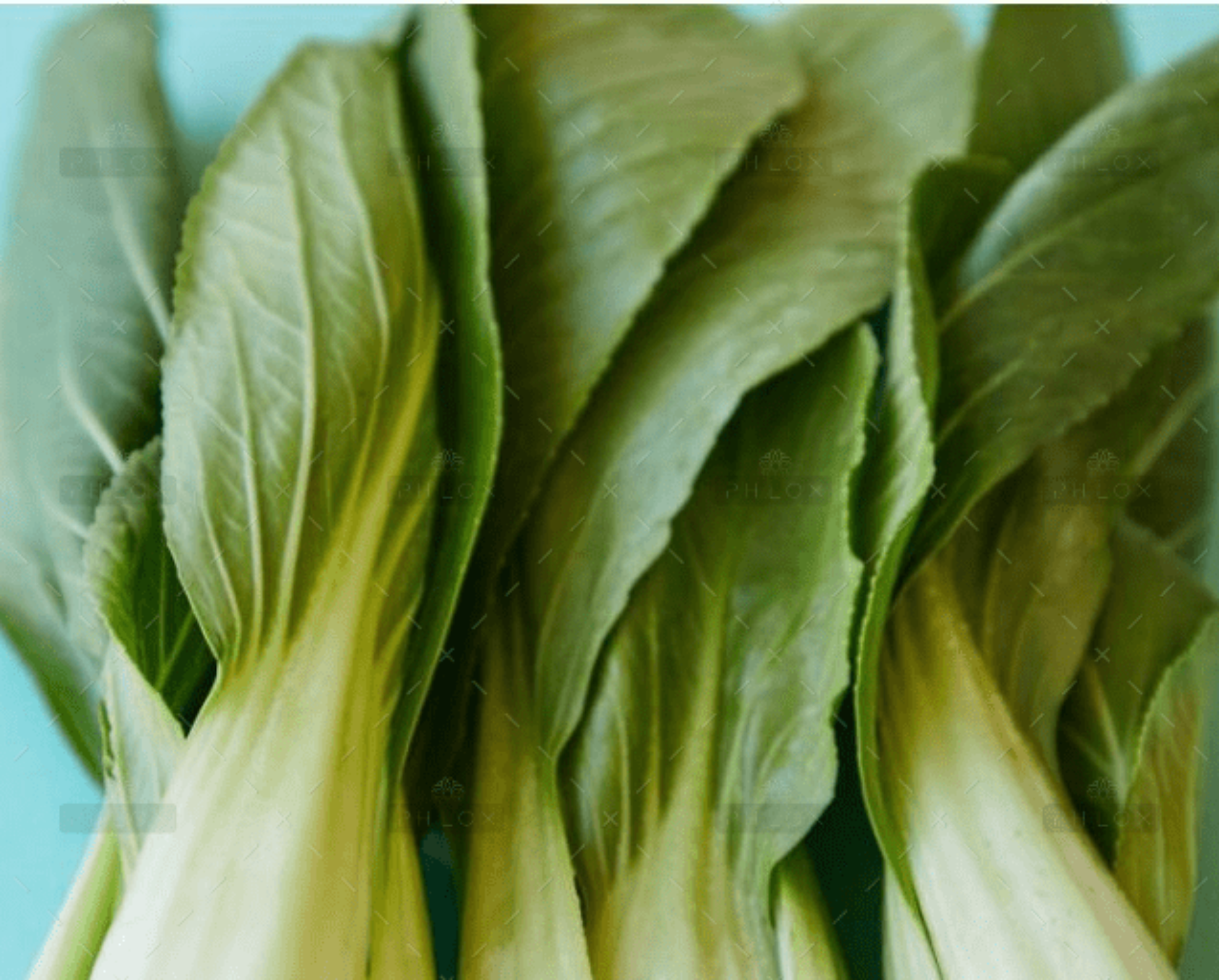 demo-attachment-1726-Rectangle-2-3-e1637396671481